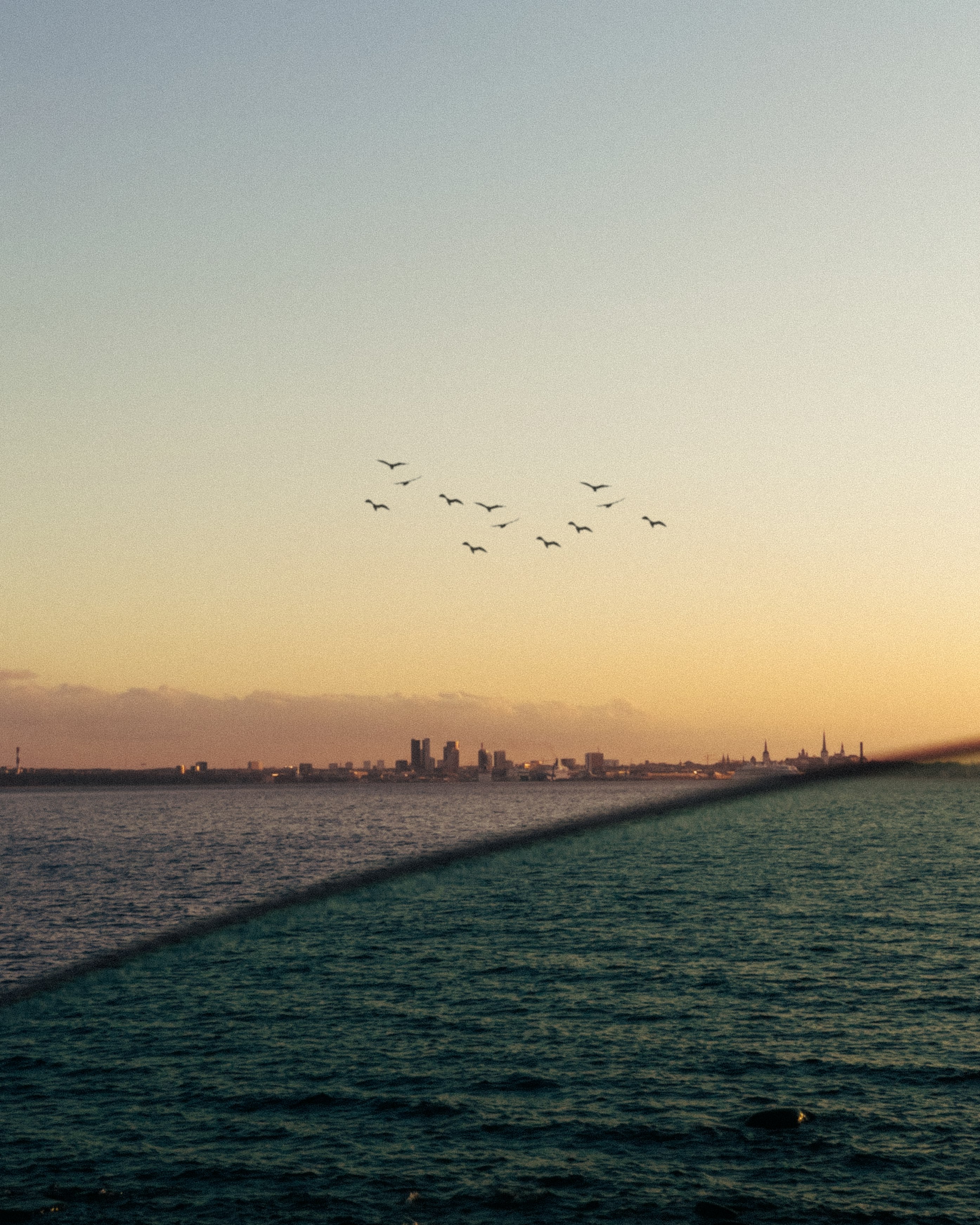 birds flying over the sea during sunset